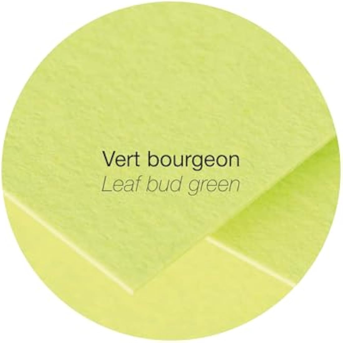 Clairefontaine - Ref 55478C - Pollen Envelopes (Pack of 20) - 140 x 140mm Sized, 120gsm Paper, Gummed Seal, Inkjet & Laser Printer Compatible, Acid Free - Leaf Bud Green
