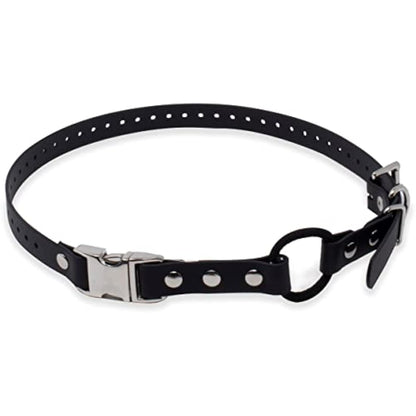 Educator Quick Snap Bungee Dog Collar, Biothane, Waterproof, Odorproof, Easy Connect and Disconnect Clasp and D Ring with Comfort Bungee Loop, Adjustable for Custom Fit, 3/4-Inch, Black