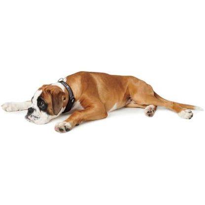 Hunter Softie Deluxe Collar, 55, Black