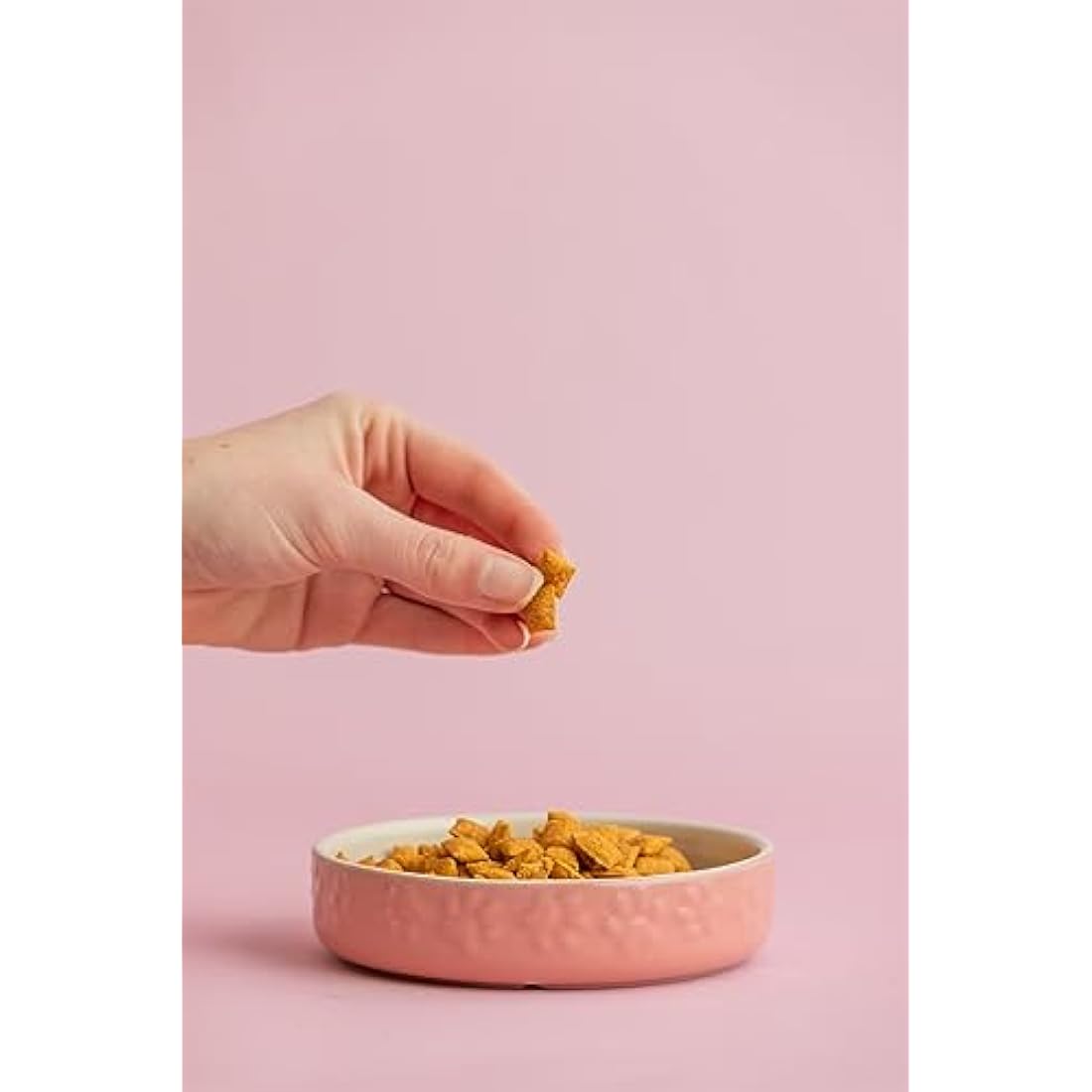 Mason Cash Colour Mix Pink Cat Saucer, 13 cm