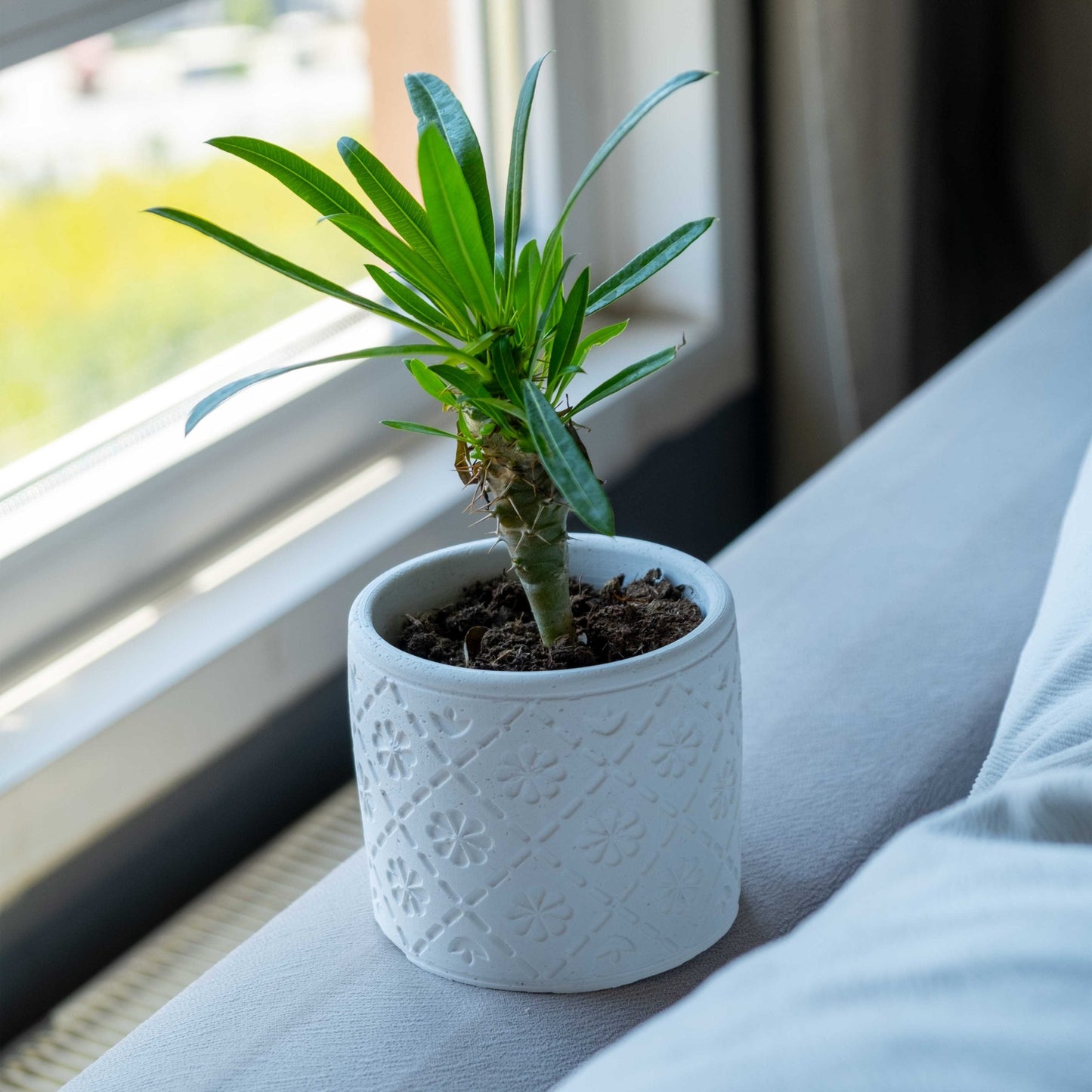 WHITE CONCRETE RADUS POT