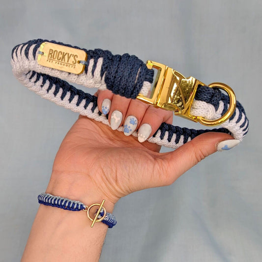 Make Your Own Dog Collar & Friendship Bracelet Craft Kit - BLUE