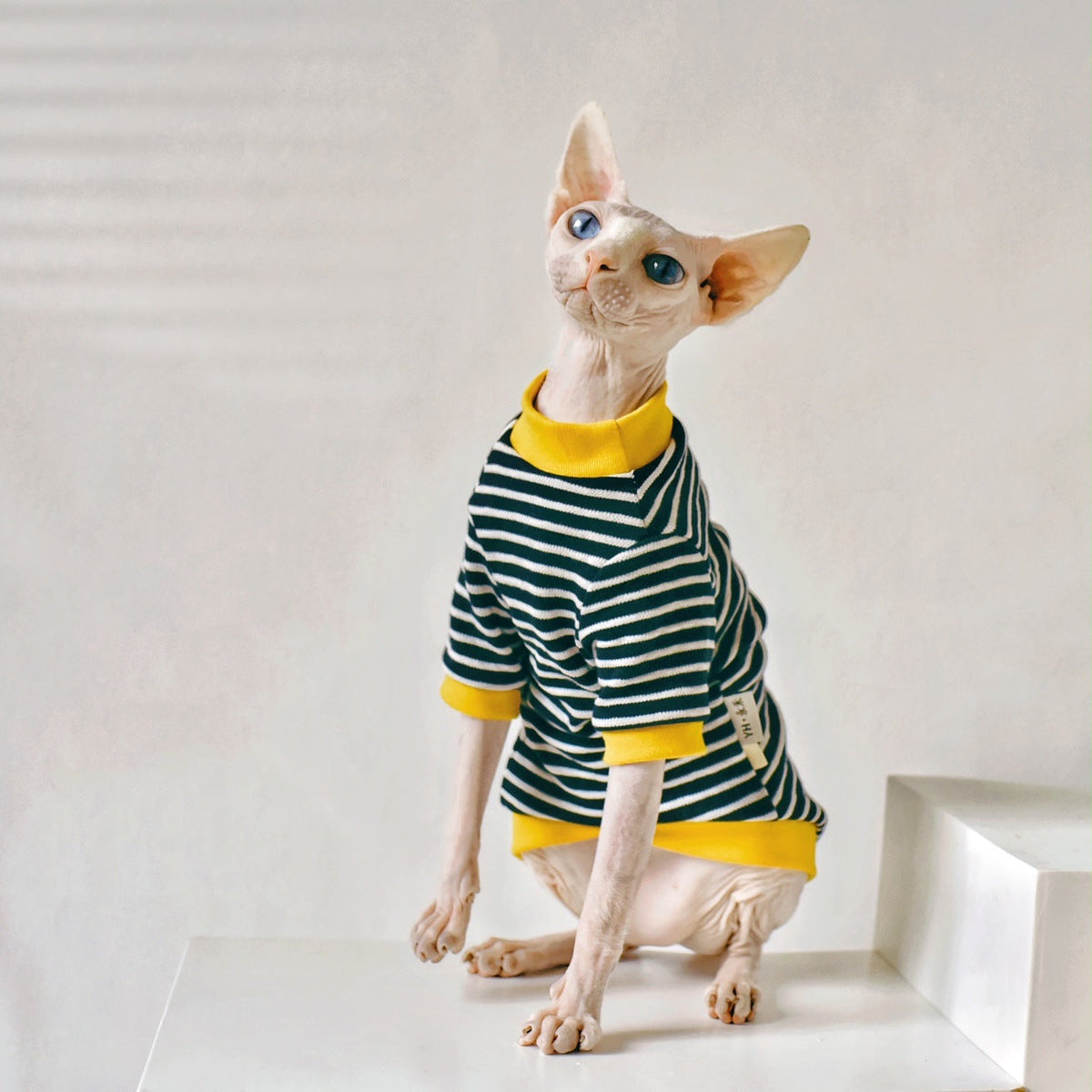 Fabric Sphinx Hairless Cat Clothing
