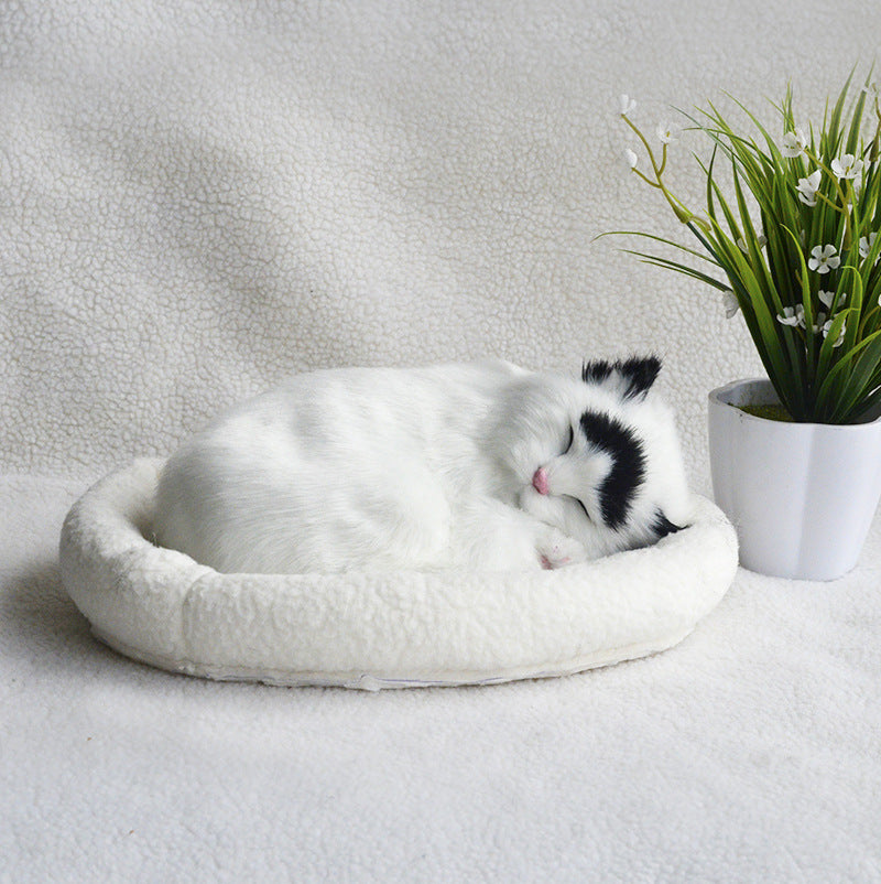 Decoration Creative Birthday Gifts Creative Gifts Crafts Cats That Breathe