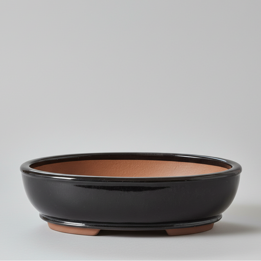 37cm Glazed Bonsai Pot | Oval | 37cm x 31cm x 9cm | Black