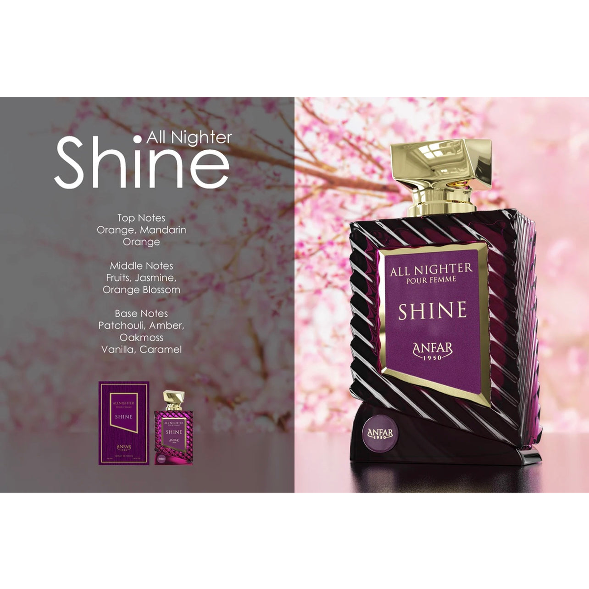 All Nighter Shine by Anfar – Extrait de Parfum (100ml)