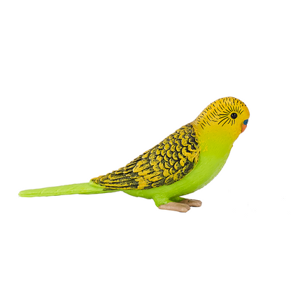Green Budgerigar Toy  Realistic Exotic Bird Figurine