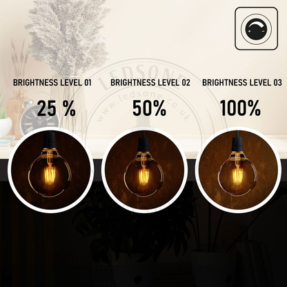 5 Pack of Vintage Globe Edison LED Light Bulb G95 8W, E27 Screw Bulb
