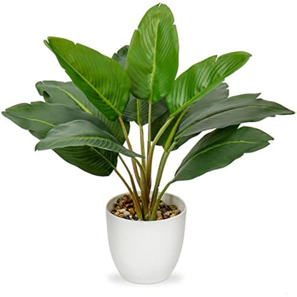Hollyone 37CM Tall Artificial Bird of Paradise Faux Plants Indoor Decorative Tropical Fake Plants Aesthetic Room Décor Plants for Bedroom Office Home Desk Decoration