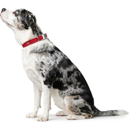 Hunter - Collar Softie Alu-Strong 40-55 cm red