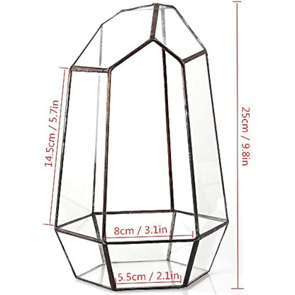 NCYP Opened Geometric Glass Terrarium for Succulent, Air Plants - 16.5 x 14.5 x 25 CM Irregular Glass Planter Pot - Indoor Garden Tabletop Decor, Black (No Plants, No Door)