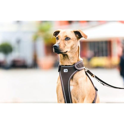 Belka Harness Brown S