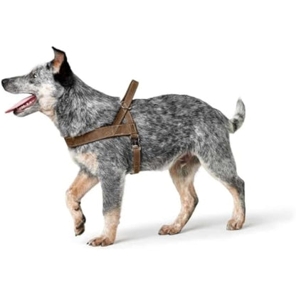 HUNTER Norwegian harness for Dogs Hunting, 55 x 71-97 cm, Brown