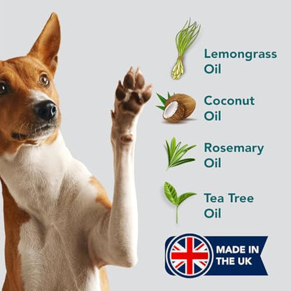 The Healthy Dog and Cat Co. – All Natural Flea Shampoo for Dogs & Cats – Gentle Wash with Quassia & Lemongrass – Safe, Vegan Formula for Itchy Skin – Dog & Cat Shampoo – Made in UK