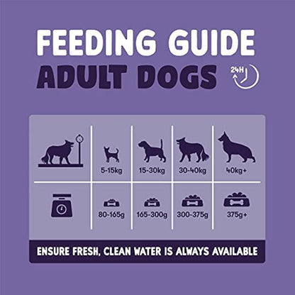 Burgess Sensitive Dry Senior Dog Food 7+ Rich in Turkey, 12.5 kg