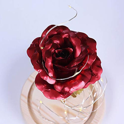 TINYOUTH 24K Red in Glass Dome, Gold Plated Light Up Rose Batteries Included Rose Gifts for Women/Her/Mum Wedding Anniversary Valentines Birthday Xmas
