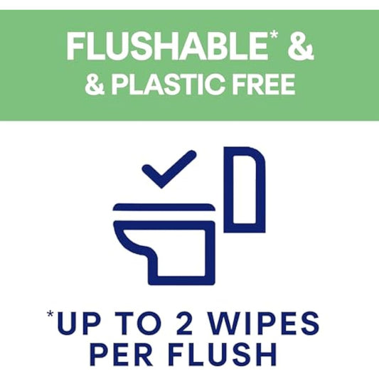 Andrex Fresh and Soothe Hygiene Wipes, 12 Packs - Flushable Toilet Wipes - Skin Kind - Contains Aloe Vera and Prebiotic Lotion- Biodegradable and Plastic-Free, FSC Certified