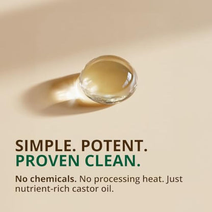 Castor Oil (16oz Glass Bottle) USDA Certified Organic 100% Pure Cold Pressed Hexane Free by RejuveNaturals. Boost Hair Growth for Eyelashes Eyebrows & Hair. Natural Dry Skin Moisturizer