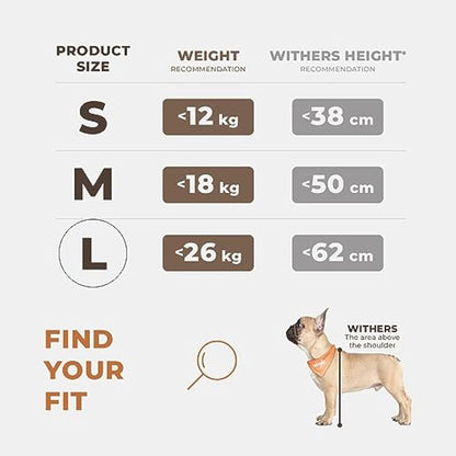 Extra Stable Dog Car Seat - Reinforced, Waterproof Pet Car Seat for Medium-Sized Dogs with 4 Fastening Straps (L Size, Black)