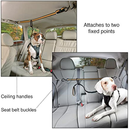 Kurgo Auto ZipLine for Dogs, Dog Safety Restraint for Car, Boat or Campsite, Quick & Easy Installation, Adjustable Length, Black/Orange