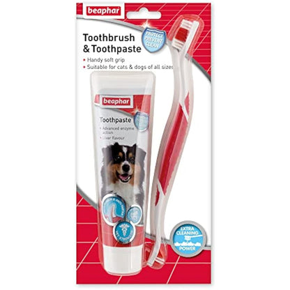 Beaphar | Toothbrush & Toothpaste Dental Care Kit | for Dogs & Cats | Includes A Double-Ended Toothbrush & Liver-Flavoured Enzymatic Toothpaste, 100g Tube, 2 Count (Pack of 1)
