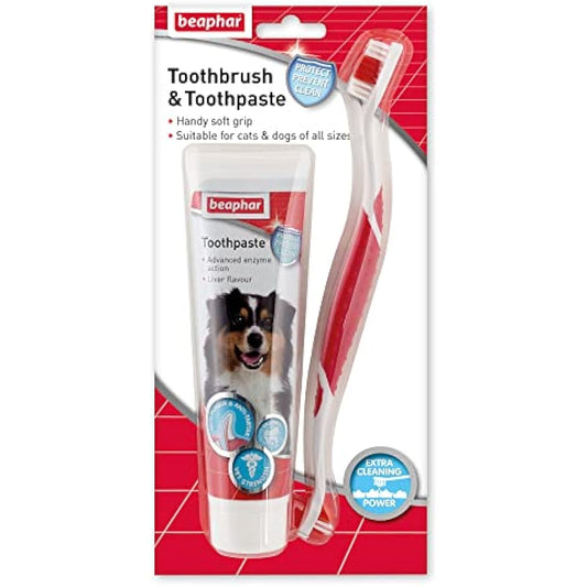 Beaphar | Toothbrush & Toothpaste Dental Care Kit | for Dogs & Cats | Includes A Double-Ended Toothbrush & Liver-Flavoured Enzymatic Toothpaste, 100g Tube, 2 Count (Pack of 1)