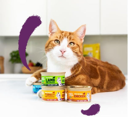 Grain Free Wet Cat Food in Gravy for Adult Cats (Salmon&Chicken 16 x 85g), Natural Cat Food in Chunks for Sterilized or Active Cats, No Added Sugar