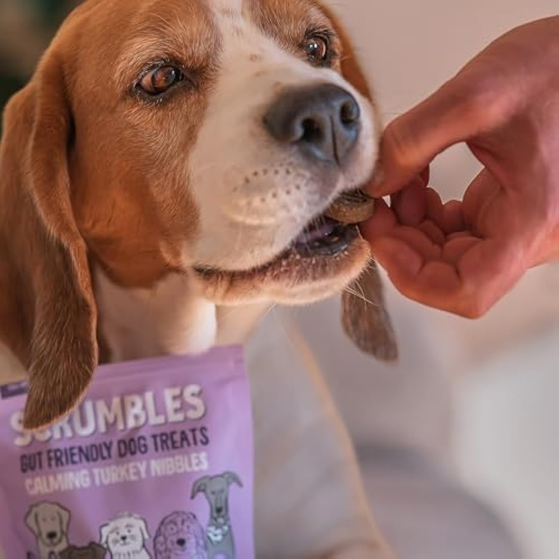 Scrumbles Nibbles, 100% Natural, Calming Dog Treats, Grain Free Turkey Training Treats, 100g pouch