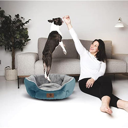 Asvin Medium Dog Bed for Medium Dogs, Cat Beds for Indoor Cats, Pet Bed for Puppy and Kitty, Extra Soft & Machine Washable with Anti-Slip & Water-Resistant Oxford Bottom, Teal, 25 inches
