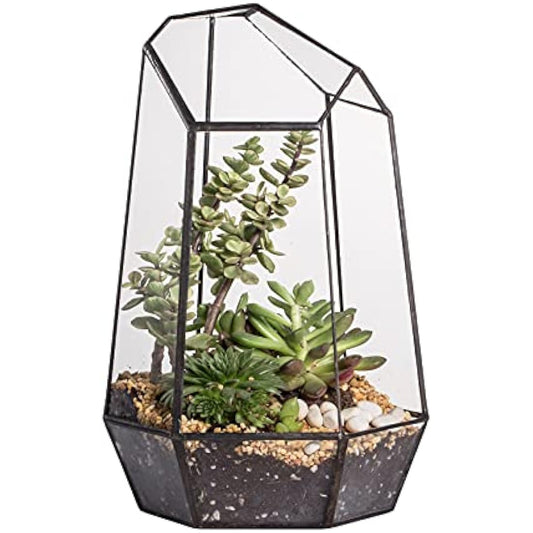 NCYP Opened Geometric Glass Terrarium for Succulent, Air Plants - 16.5 x 14.5 x 25 CM Irregular Glass Planter Pot - Indoor Garden Tabletop Decor, Black (No Plants, No Door)