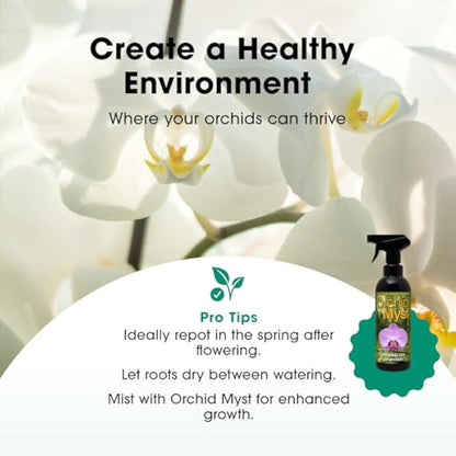 Orchid Focus Repotting Mix, 3L - Growth Technology Orchid Potting Mix for Orchid Plants - Peat-Free Orchid Potting Mix - Orchid Compost For Repotting Pants - Professional Grade Orchid Bark
