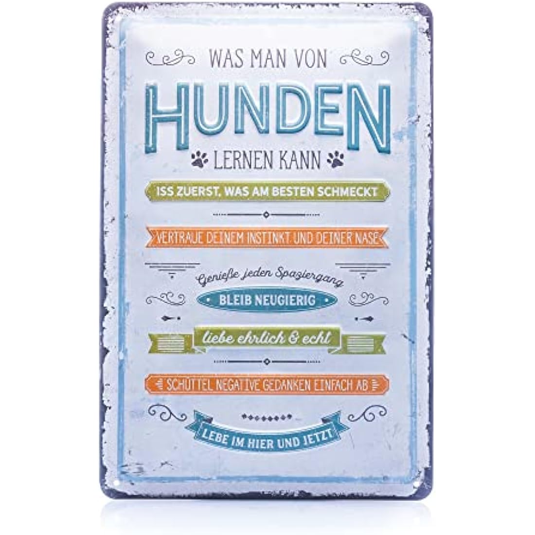 Nostalgic-Art Retro Tin Sign – Was man von Hunden lernen kann – Gift idea for dog owners, Metal Plaque, 20 x 30 cm
