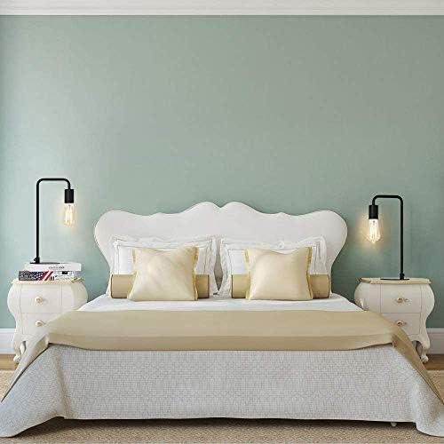 HAITRAL Vintage Industrial Bedside Lamps Set of 2 - Metal Desk Lamp with Circular Base, Nightstand Lighting for Bedroom, Office, Living Room - Black Retro Edison Style Table Lamp