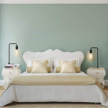 HAITRAL Vintage Industrial Bedside Lamps Set of 2 - Metal Desk Lamp with Circular Base, Nightstand Lighting for Bedroom, Office, Living Room - Black Retro Edison Style Table Lamp