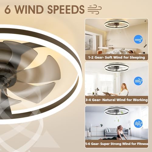 NIORSUN Ceiling Fans with Lights and Remote, 60cm Modern Smart LED Ceiling Fan Light, 6 Speeds and 3000K-6500K Dimmable Quiet Fan Lights Ceiling for Bedroom Living Room Dining Room (Black)