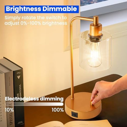 Homelist Gold Bedside Lamp Set of 2,Dimmable Industrial LED Table Lamps Nightstand Beside Reading Desk Lamp with USB Charging Port, Glass Shade for Bedroom Living Room Home Office,Gift for Friend
