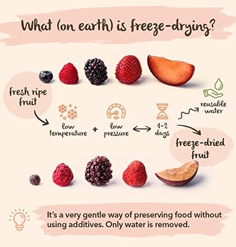 BRIX Freeze Dried Strawberry Halves | 100% Natural Dried Strawberries 300g | Great Taste Award Dried Fruit | Non-GMO, Gluten Free, Vegan & Vitamins Retained