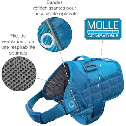 Kurgo RSG Dog Townie Harness, Easy On/Off Dog Hiking Harness, Adjustable, MOLLE Compatible, Large-Coastal Blue