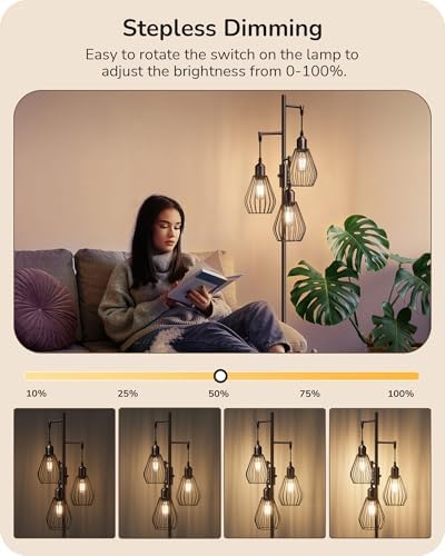 EDISHINE Industrial Floor Lamp, Dimmable Standing Lamp with Wire Cage Lampshade, Floor Lamps for Living Room, Bedroom, E27 Sockets, 3 LED Bulbs Included, Brown Metal