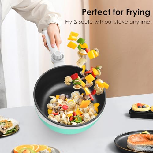 Audecook Hot Pot Electric,Mini Electric Skillet Portable Nonstick Saut Pan with Power Adjustment, Rapid Ramen Cooker Travel Multicooker Electric Pot