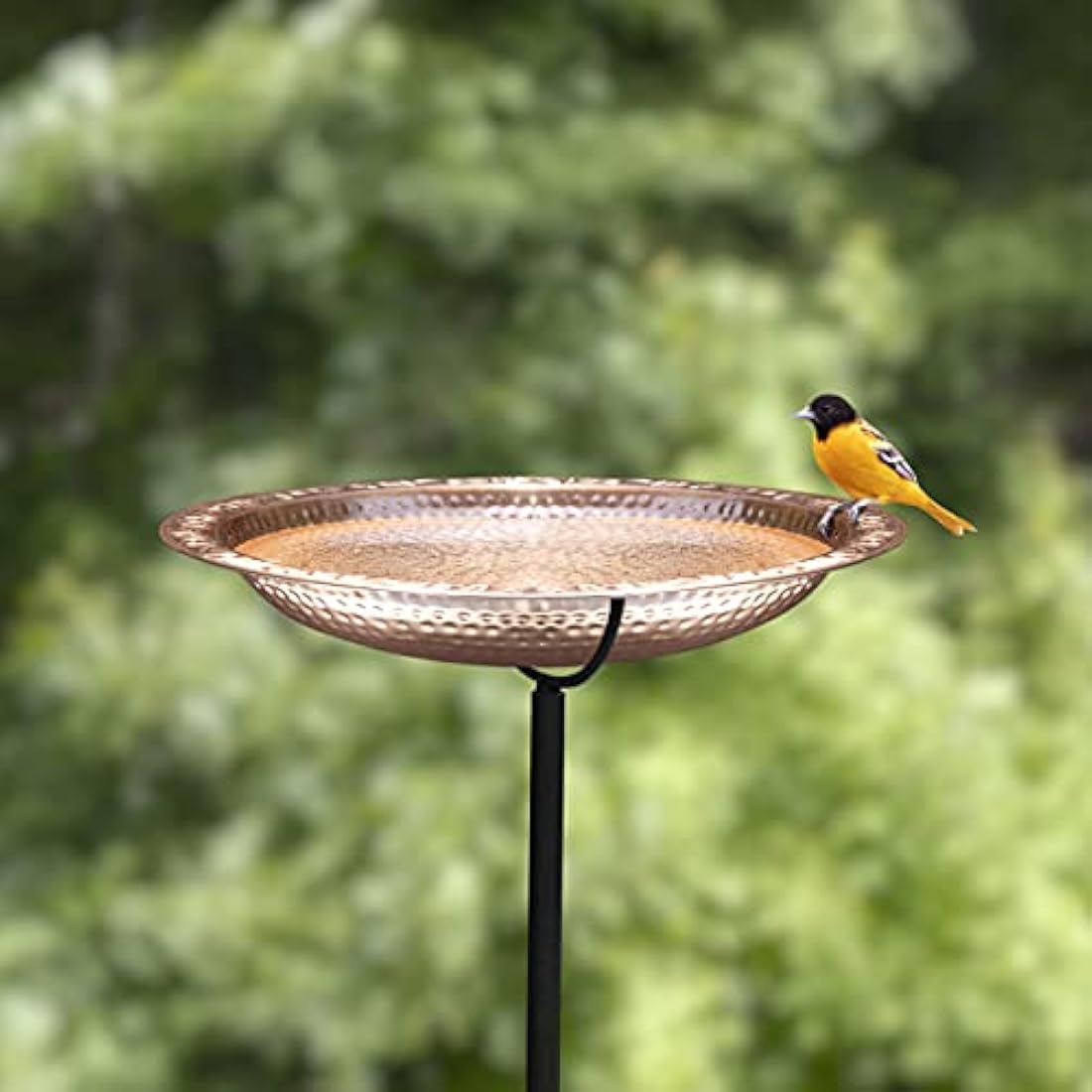 Good Directions Pure Copper 18" Bird Bath on Garden Pole by