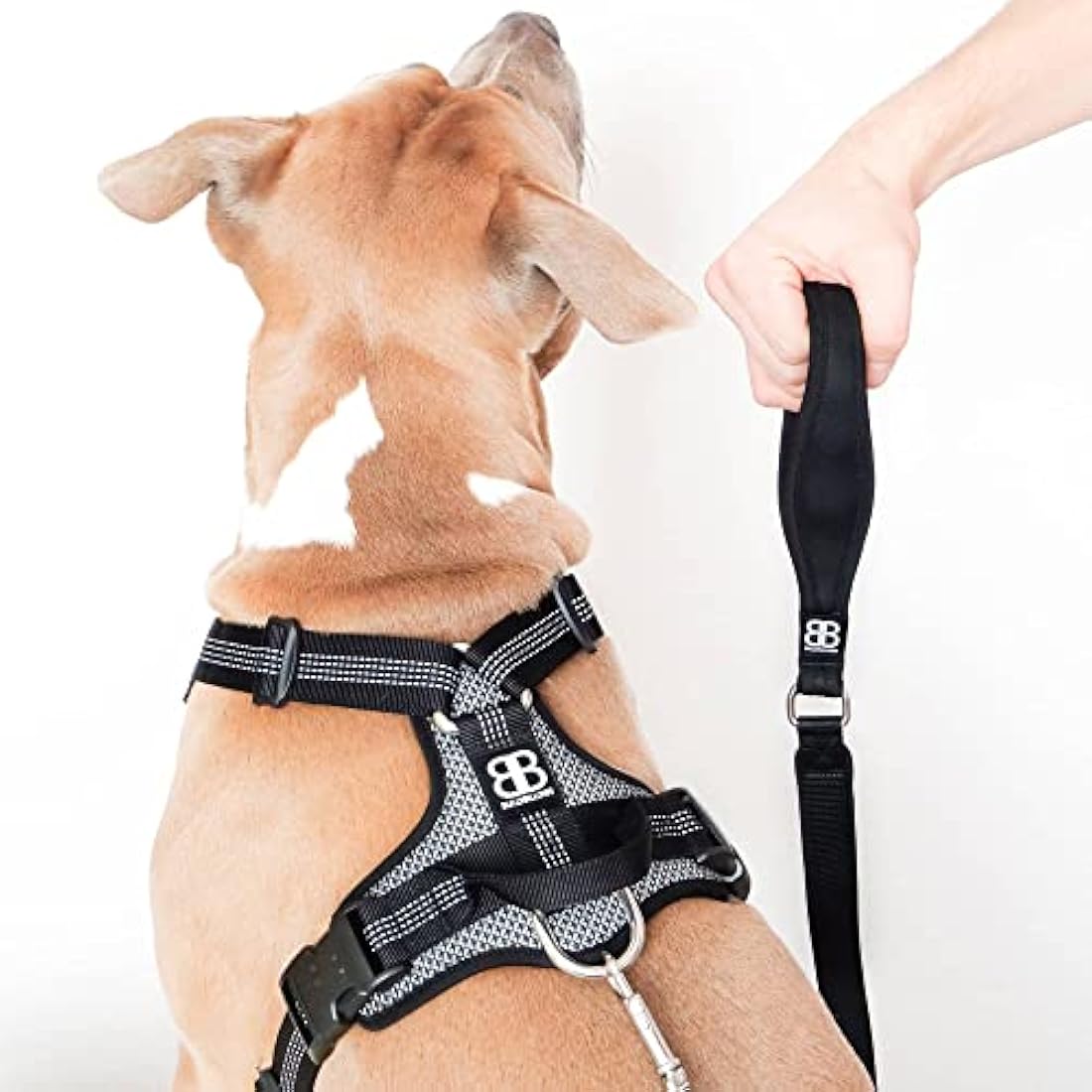 BullyBillows Active Light Dog Harness With Handle - Premium Padded Lining & Reflective - Grey Small