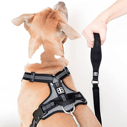 BullyBillows Active Light Dog Harness With Handle - Premium Padded Lining & Reflective - Grey Small
