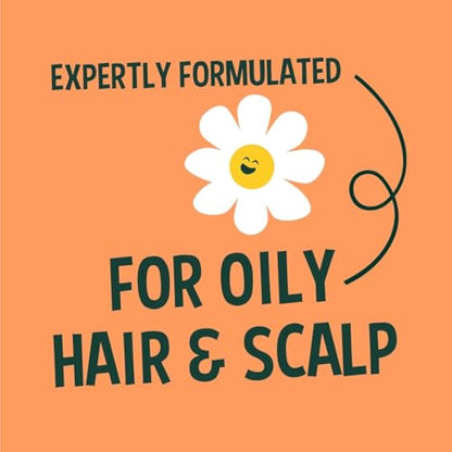 Faith In Nature Natural Grapefruit & Orange Conditioner, Purifying for Oily Hair & Scalp, Vegan & Cruelty Free, No SLS, Silicones or Parabens, 5L Refill Pack
