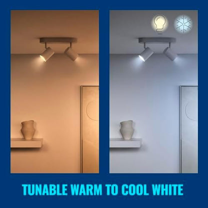 WiZ GU10 Smart LED Glass Bulb, Smart LED Connected WiFi Works with Alexa, Google Assistant & HomeKit, Wi-Fi/Bluetooth,Dynamic Scenes on App Including Relax Mode Bedroom, 3 Pack, 50W