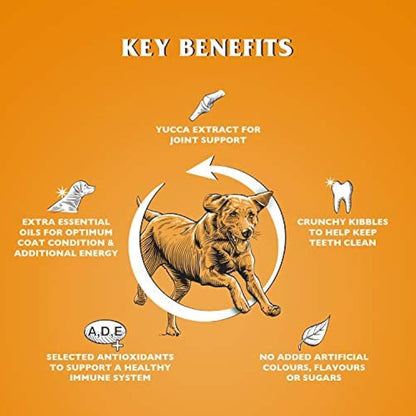 Dr John Gold Complete Dry Dog Food, Chicken with Vegetables, 15 kg