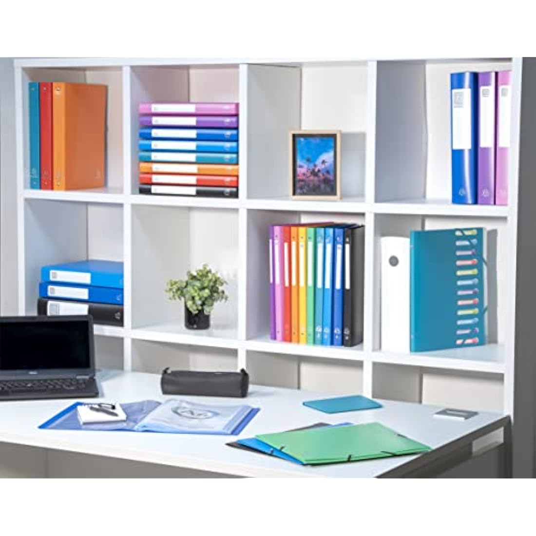 Exacompta - Ref 85102E - Soft PP Display Book - Suitable for A4 Documents, Made from Polypropylene, Lightweight, 100 Pockets, 200 Viewing Pages - Blue Cover
