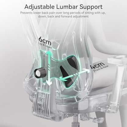 Hbada P5 Ergonomic Office Chair with Adjustable Headrest and Lumbar Support, Comfy Spring Seat Cushion Support Computer Chair Tilt Function Swivel Mesh with Footrest