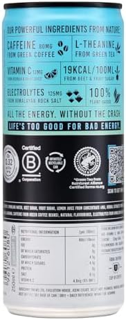 TENZING Natural Energy Drink, Plant Based, Vegan, & Gluten Free Drink, Original Recipe, 250ml (Pack of 24) - Packaging may vary