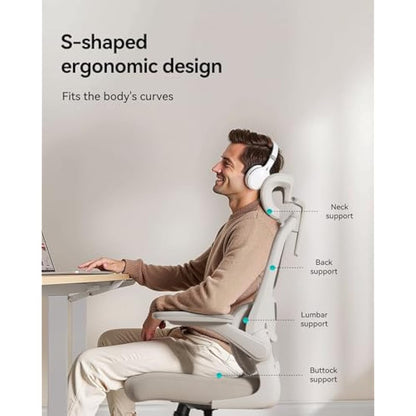 Hbada P1 Ergonomic Office Chair with Flip-Up Armrest, Swivel Computer Desk Chair with 2D Lumbar Support (Grey)